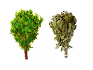 Березовые и дубовые веники